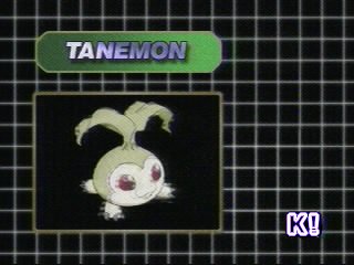 tanemon